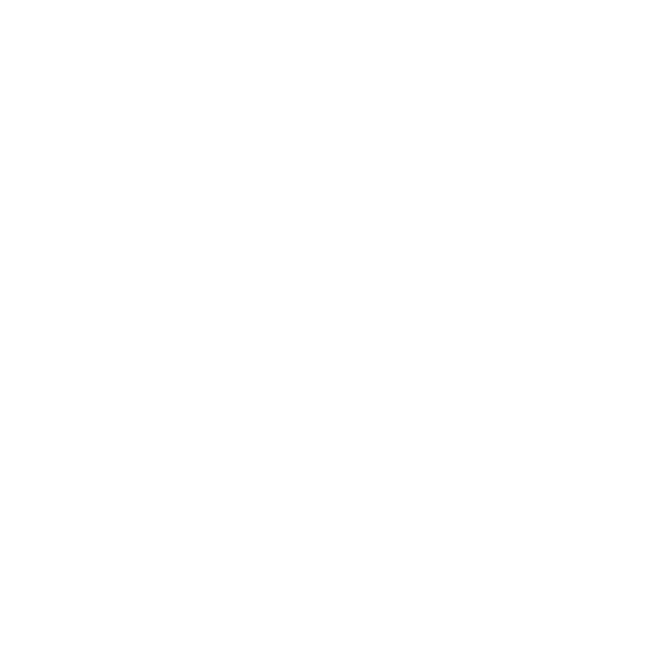 We Are The Wanderers